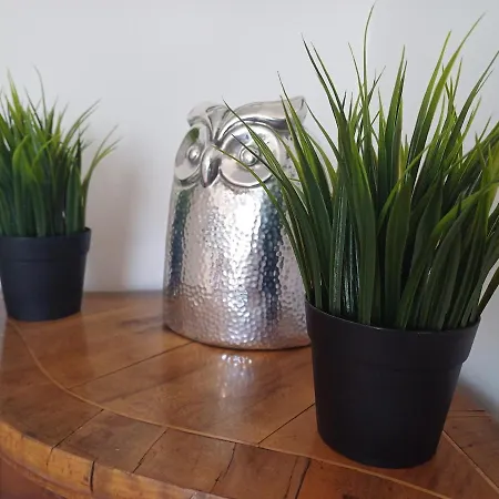 Aurorapartment All'eur Řím